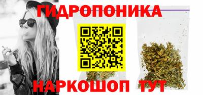 ешки Абакан