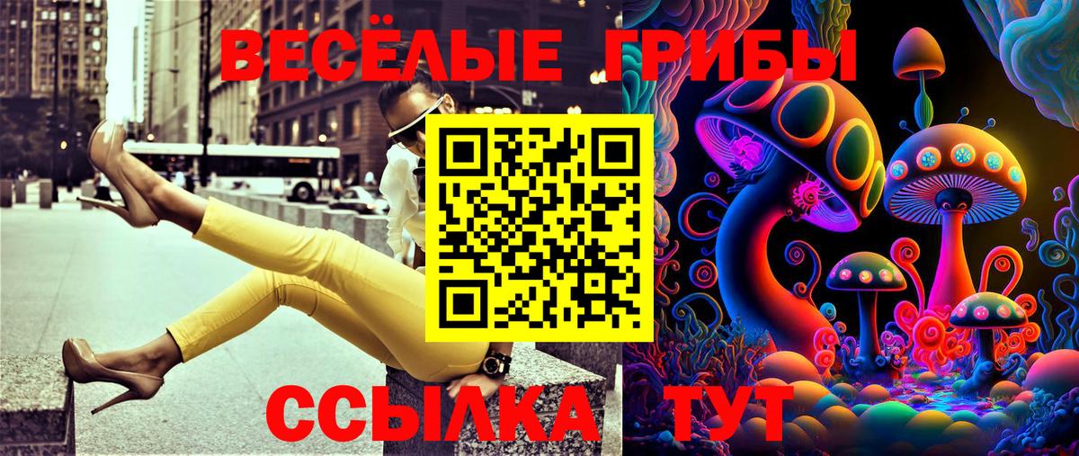 Россия  Галлюциногенные грибы прущие грибы  Вход с VPN 